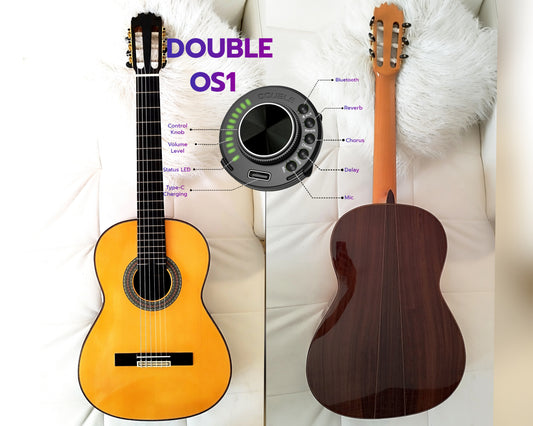 Flamenco Guitar Y8 Antonio de Toledo Indian Rosewood, Double OS1