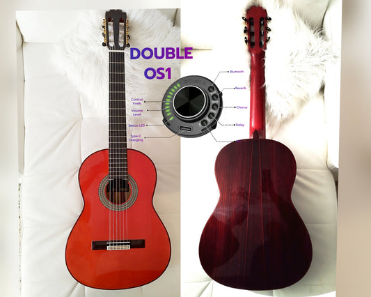 Flamenco Guitar Y8 Antonio de Toledo Red Indian Rosewood, Double OS1