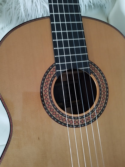 Guitarra clasica 15C Antonio de Toledo  Amplificada Fishman Presys Blend