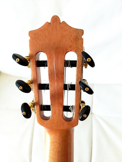 Guitarra clasica Modesto Malla C3/D Palosanto y tapa de Abeto (AMPLIFICADA Double OS1)