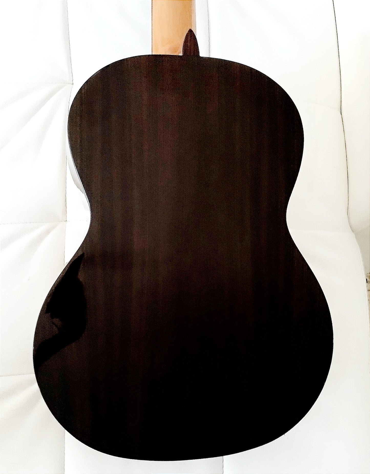 Modesto Classical Guitar Mesh C3/D Rosewood and Spruce Top (AMPLIFIED Double OS1) 