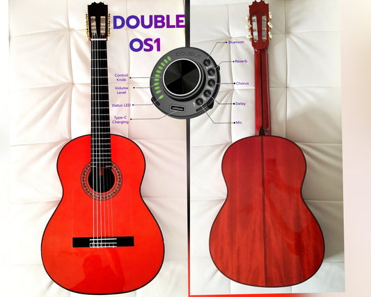 Flamenco Guitar 17BR Antonio de Toledo Self-Powered Double OS1