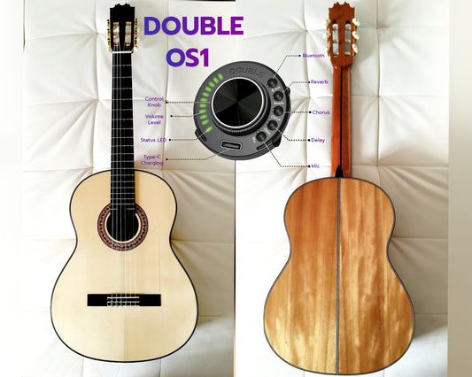 Flamenco Guitar 17B Antonio de Toledo Self-Powered Double OS1