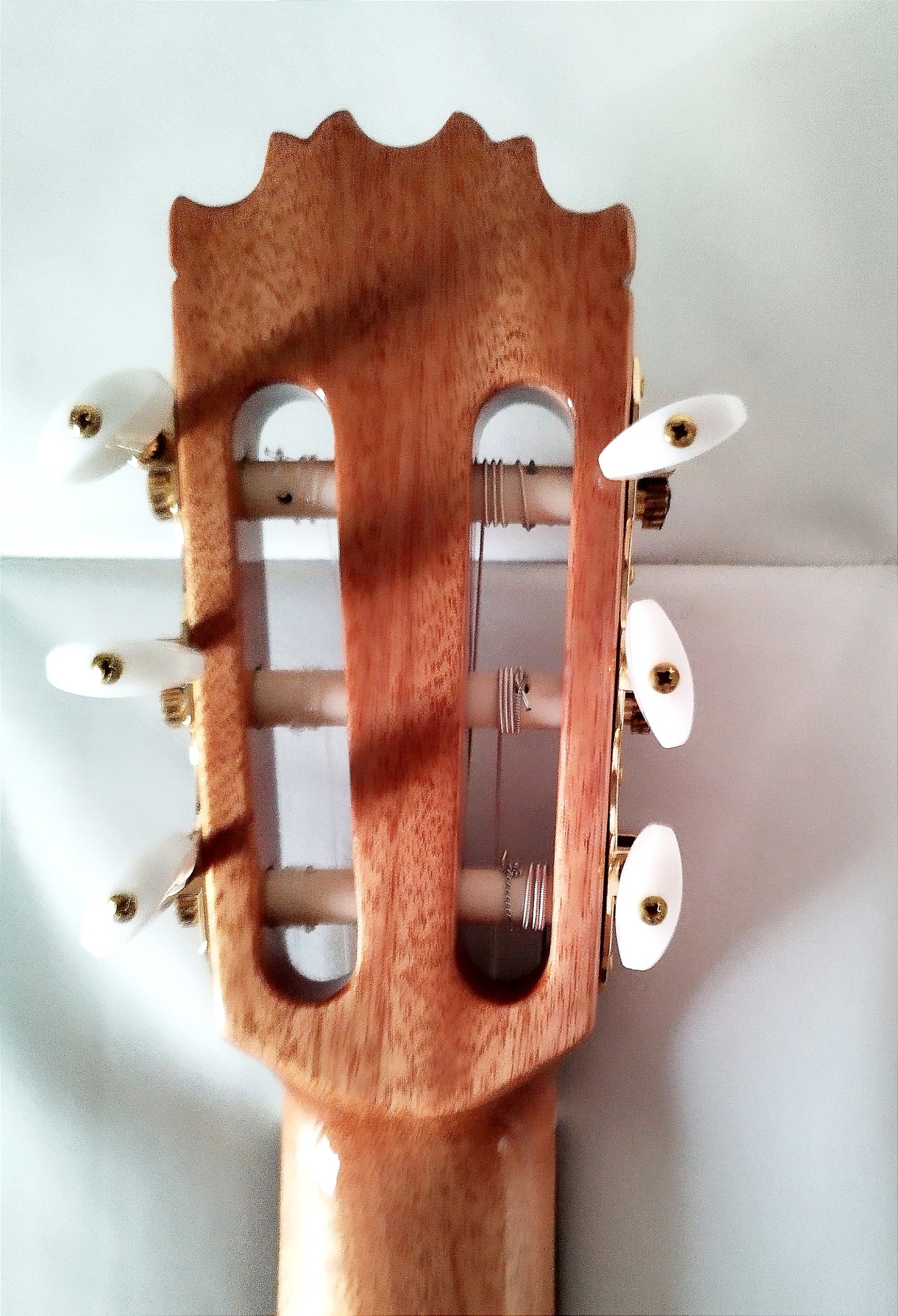 Guitarra clasica Modesto Malla C5/ EA, Palosanto "Seleccion" tapa de cedro maciza