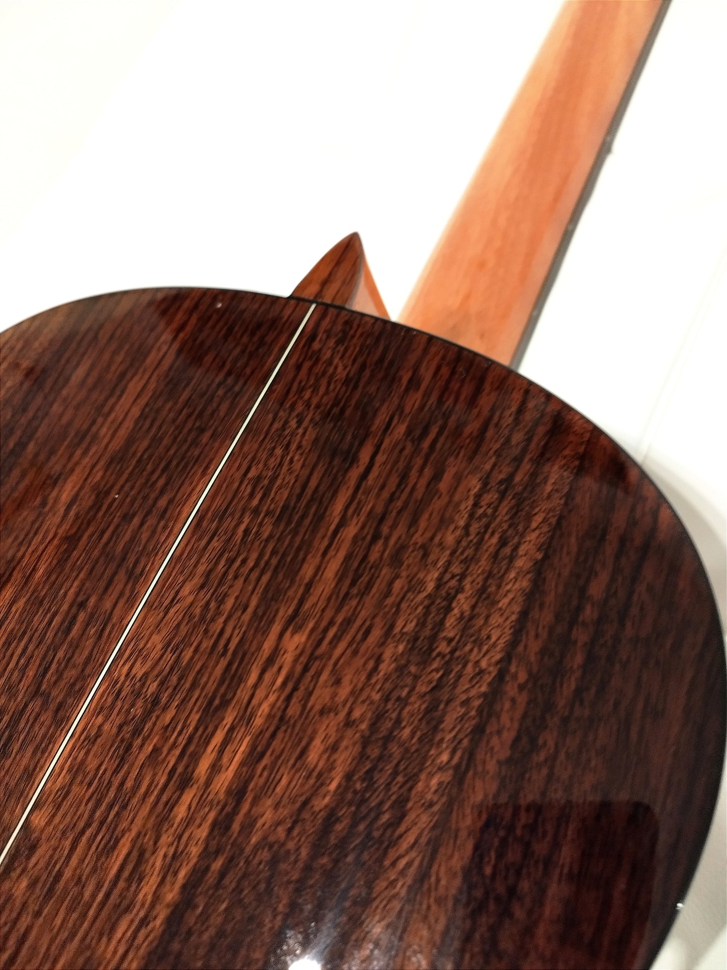 Classical guitar Modesto Malla C5/D, Rosewood "Seleccion" solid cedar top